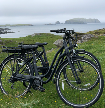 Pure Electric Bike